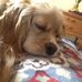 Joy Teague - Facebook