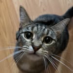 Joy - @joy.teall - Instagram
