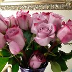 Joy Thrasher Chambers - @joyatpeace1 - Instagram