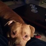 Joy Thurman-Mitchell - @thurmanmitchell - Instagram