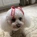 Joy Rice Tolbert - Facebook