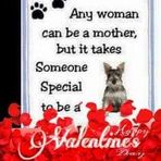 Joyce Trahan - Facebook