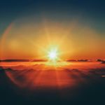 Vitale Joy - @vitalejoyhealth - Instagram