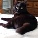 Joy Walker - Facebook