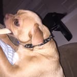 Joy Wallace - @stosh_and_joy - Instagram