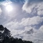 Joy Wallace - @joy.wallace.5494 - Instagram