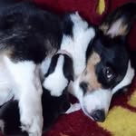 Joy Walters - @joydianewalters - Instagram