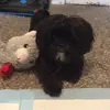 Joyce Warren - @joyce.warren - TikTok