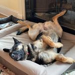 Joy Warwick Willis - @joyiwillis - Instagram