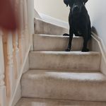 Joy Webber - @joywebber2023 - Instagram