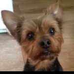 Joy Webber - @webberjoy45 - Instagram