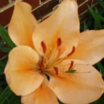joyce weinberger - @weinbergerjoyce - Instagram