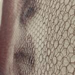 Joy Weldon - @joyweldon66 - Instagram