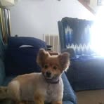 Joy Westphal - Facebook