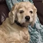 Joyce Whatley - @whatleyjoyce - Instagram