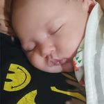 Joy Whipple Moshier - @joywhip2 - Instagram
