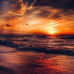 Joyce Willig - @joyce.whipple - Instagram