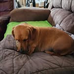 Marlene Joy Whiting - @whiting_marlene - Instagram