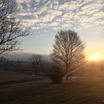 Joyce F Whitlock - @joycefwhitlock - Instagram