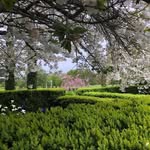 Joy Whyte - @joy.whyte.52 - Instagram