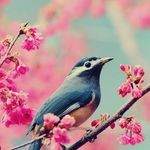 Joy Wilcox - @joy.wilcox.902 - Instagram