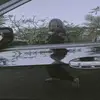 JoyWilde - @wildiejoy - TikTok