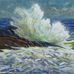 Joy To The Wind Gallery - Facebook