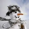 Joyce Withrow - @joyce.withrow - TikTok