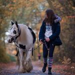 Joy Wolf - @joysponyhofleben - Instagram