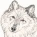 Joy Wolf - Facebook