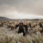 Joy Wolfe - @joywolfe289051 - Instagram