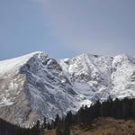 Joy Worley - @joy.worley.567 - Instagram