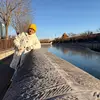Joy Yang - @joy.yang07 - TikTok
