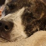 Joyce Yarbrough - @joyceyarbrough - Instagram