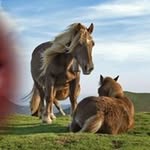 Joyce Abbey - @abbey1276 - Instagram