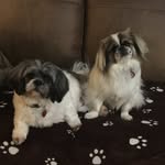 Joyce Abbey - @joyceabbey6604 - Instagram