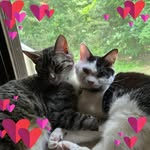 Joyce Adair - @dragon_mom67 - Instagram