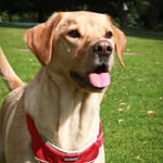 joyce Alderson - @joycealderson58 - Instagram