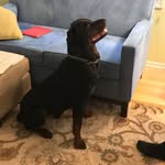 Joyce Allred - @joyce.allred.9883 - Instagram