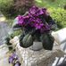 Joyce Alsip - Facebook