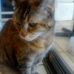 Joyce Althoff - Facebook