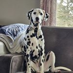Joyce Andrus - @jojo.danielle75 - Instagram