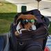 Joyce Andrus - Facebook