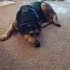 Joyce Archuleta - @joyce.archuleta - TikTok