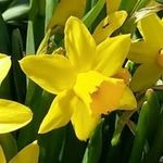 Joyce Augustine - @augustjoy38 - Instagram