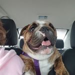 Joyce Ayers - @ayersjoyce1 - Instagram