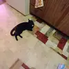 Joyce Ayers - @joyce.ayers2 - TikTok