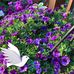 Joyce Ayers - Facebook