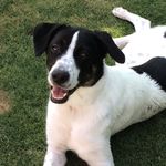 Joyce Ayers - @jdainbako - Instagram