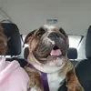 joyceayers198 - @joyceayers198 - TikTok